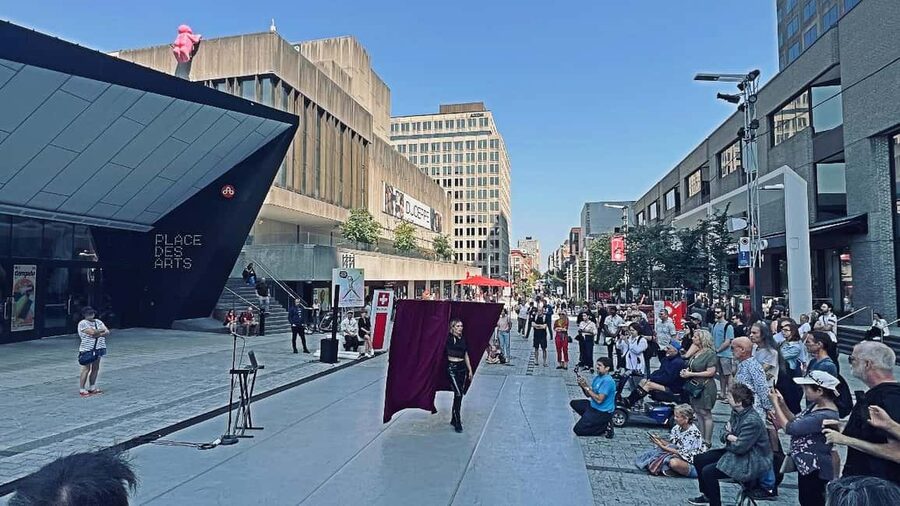 Montreal: Private 2h Walking Tour RESO and Old Montreal - From the Museum of Fine Arts into central Montreal