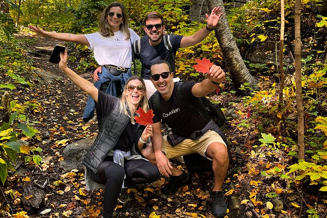 Montreal's Mount Royal Tour - Pace, Fitness, and Who Will Enjoy It
