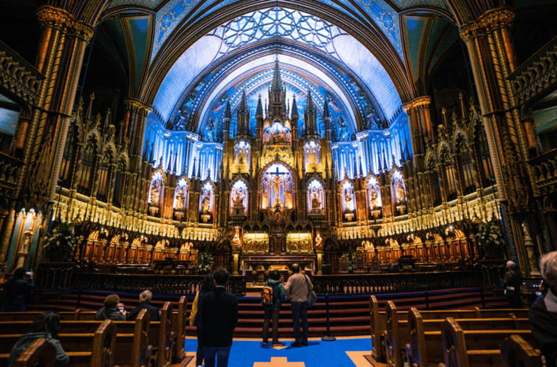 Montreal: Small Group Tour with River Cruise and Notre Dame - The Big View from Mount Royal