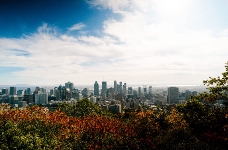 Montreal: Small Group Tour with River Cruise and Notre Dame - The Saint Lawrence River Cruise