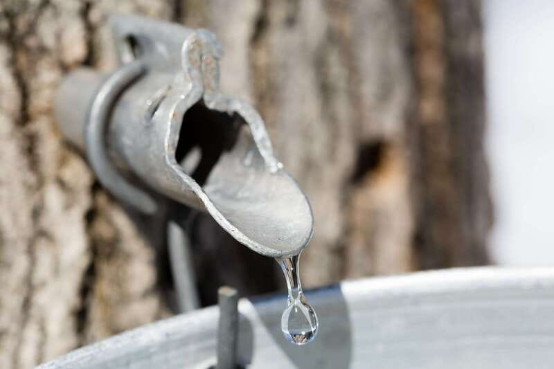 Montreal: Sugar Shack Maple Syrup Day Trip with Lunch - Key points to know before you book