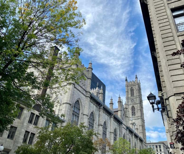 Montréal: The Original Old Montréal Walking Tour - Best timing for your visit
