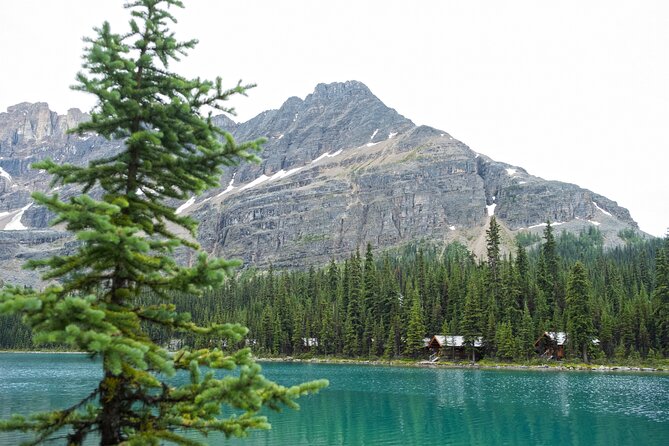 Moraine Lake and Lake Louise Sightseeing Half Day Tour - Moraine Lake and the Rockpile Trail