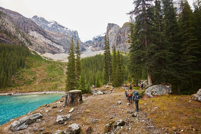 Moraine Lake and Lake Louise Sightseeing Half Day Tour - What the guides add to the outing
