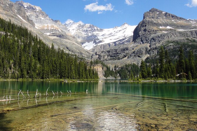 Moraine Lake and Lake Louise Sightseeing Half Day Tour - Who should book this half-day outing?