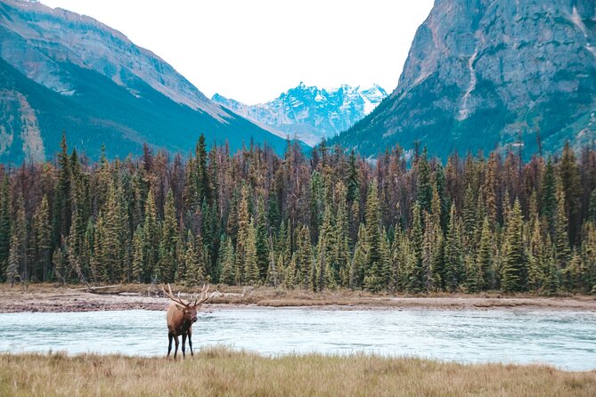 Moraine Lake, Lake Louise & Banff Secrets | Award-Winning Tour - Moraine Lake is the reason many people book