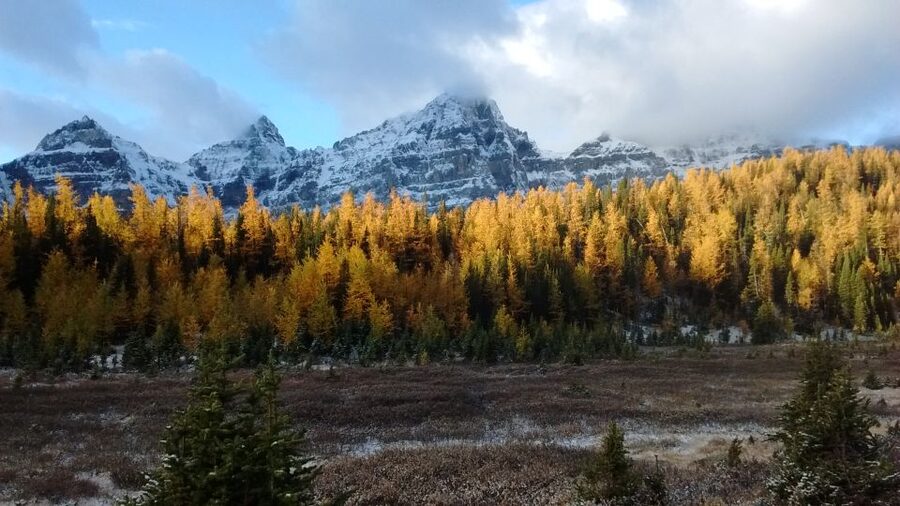 Moraine Lake & Larch Valley Hike - What the seven-hour format means