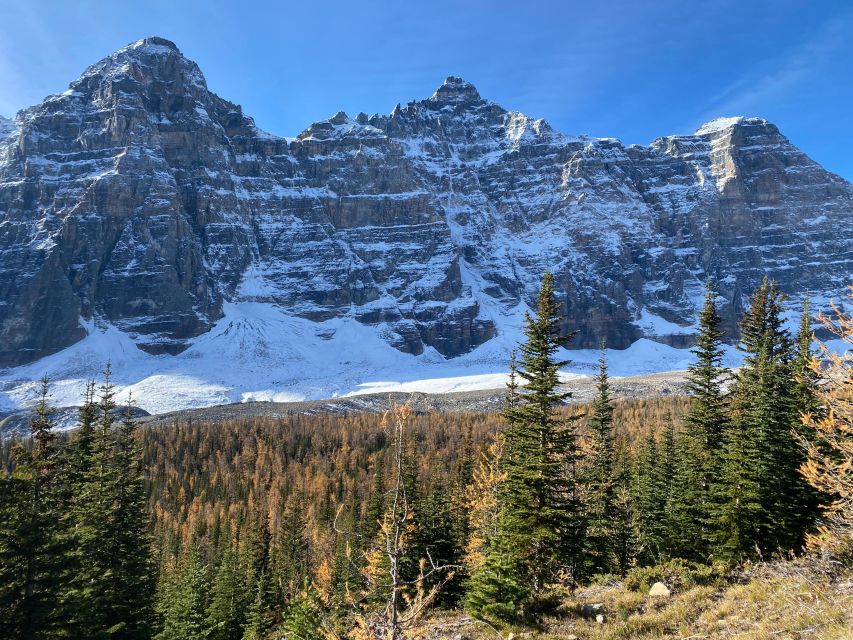 Moraine Lake & Larch Valley Hike - Is $137 a fair price?