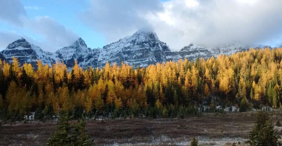 Moraine Lake & Larch Valley Hike - The morning pickup from Banff or Lake Louise