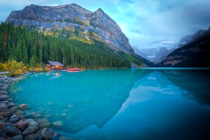 Mountain Lakes and Waterfalls - roundtrip from Banff - Morning Pickup and the Bow Valley Parkway