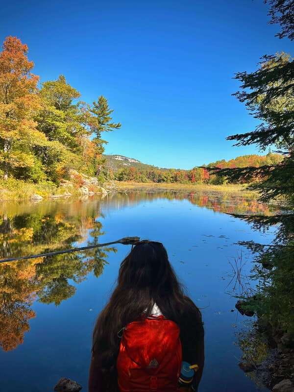 Muskoka: High Falls, Hardy Lake, & Huckleberry Rock Tour - The long return and group dinner