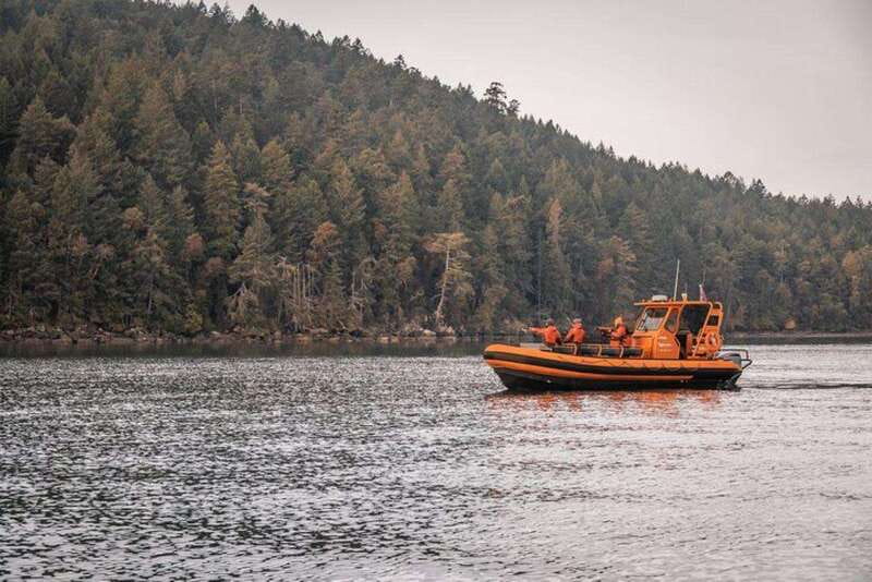 Nanaimo: Whale Watching Open Boat Tour - Starting on Nanaimo’s waterfront at 90 Front Street
