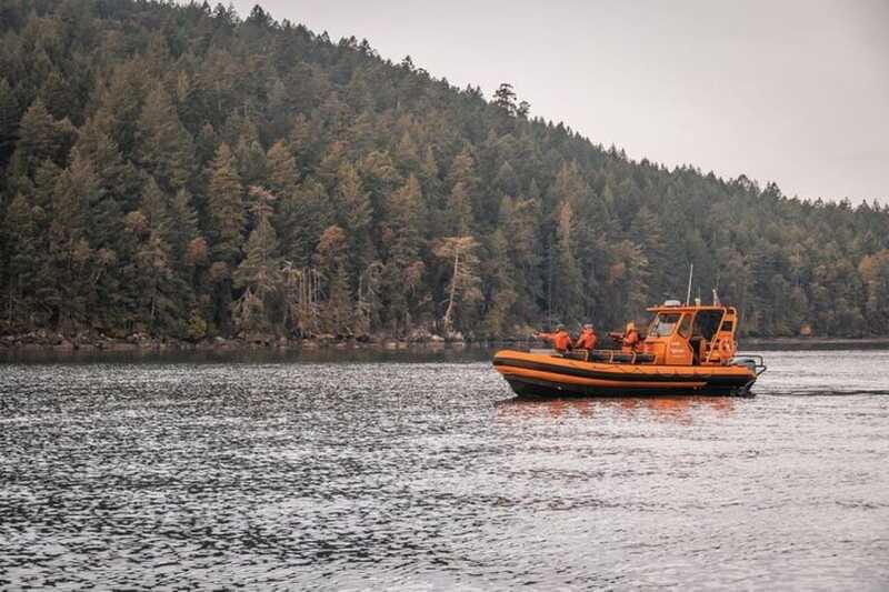 Nanaimo: Whale Watching Open Boat Tour - Why the sighting guarantee matters at $182