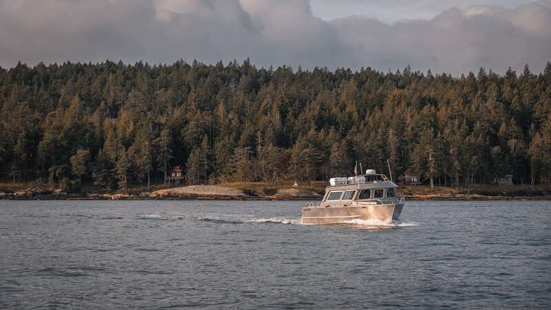 Nanaimo: Whale Watching Semi-Covered Boat Tour - A semi-covered boat built for close wildlife viewing