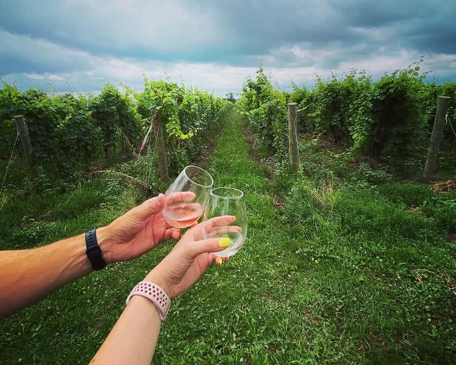 Niagara: A Twilight Wine Adventure With 3-Course Dinner - The cheese stop adds more than a snack