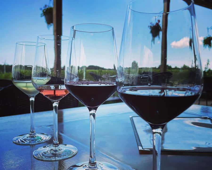 Niagara: A Twilight Wine Adventure With 3-Course Dinner - Who will enjoy this wine adventure most