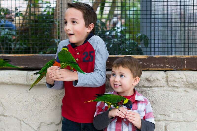Niagara Falls, Canada: Bird Kingdom Entry Ticket - What makes Bird Kingdom good value