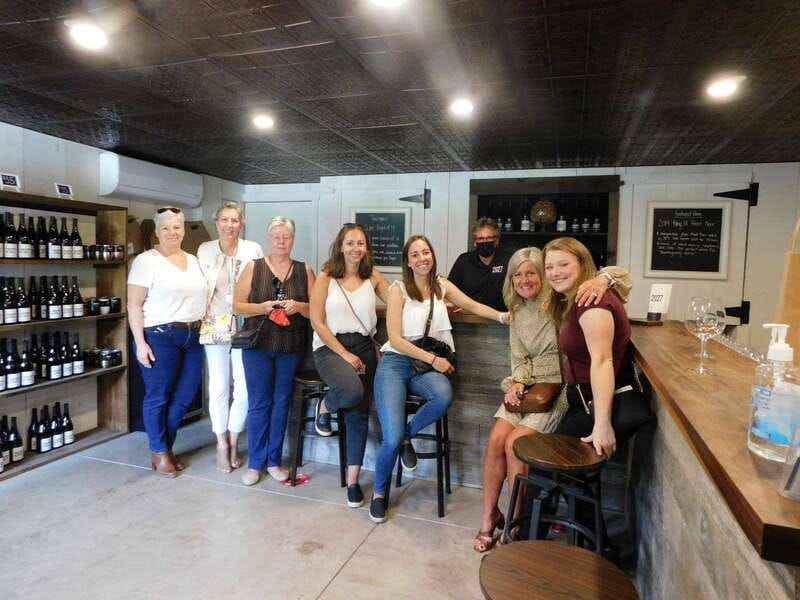 Niagara Falls, Canada: Full-Day Private Winery Tour - A private route through Niagara’s wine country