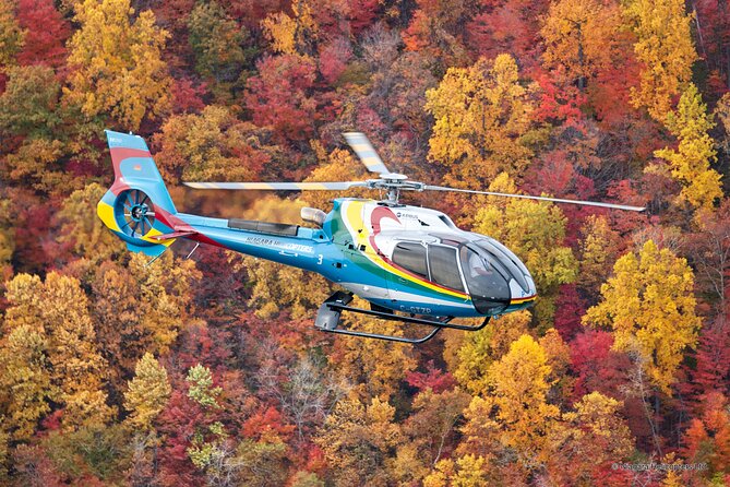 Niagara Falls Canada Helicopter Tour - Who will enjoy this flight most