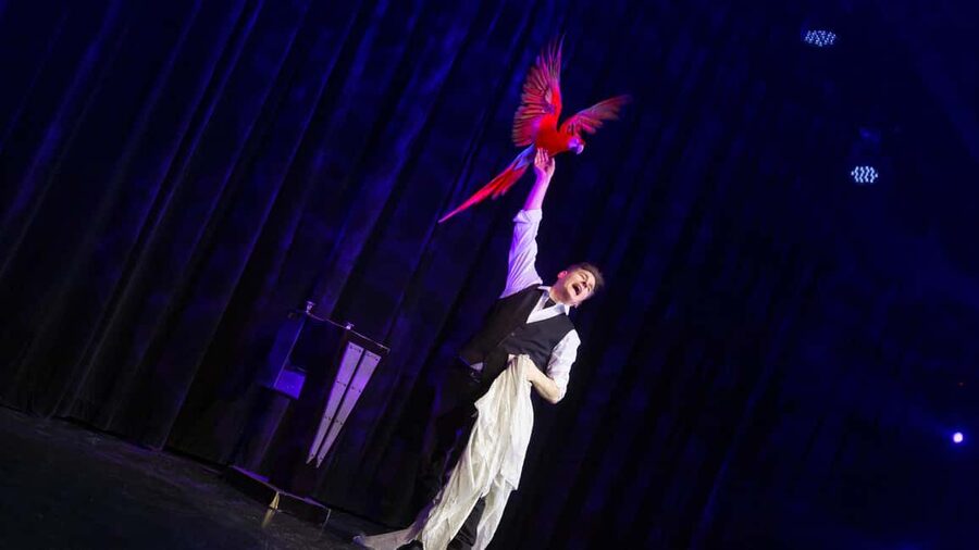 Niagara Falls, Canada: Wild Magic Show Ticket - My verdict on the Greg Frewin Theatre