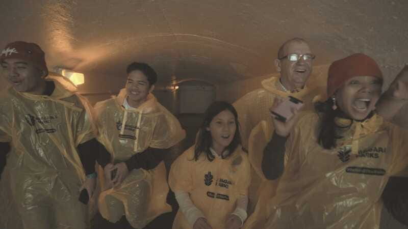 Niagara Falls: Day & Night Tour with Boat Ride and Dinner - Is $267 per person a fair price?