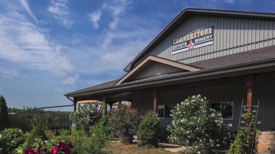 Niagara Falls: Winter Niagara Wine Tour with Transportation - Who will enjoy this tour most?