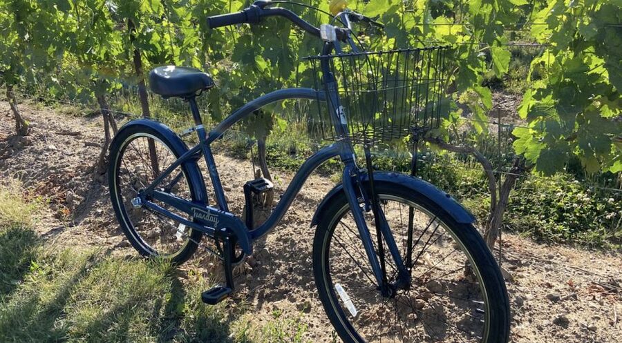 Niagara-on-the-Lake: Bicycle Tour with Wine Tasting - Practical booking advice for your day