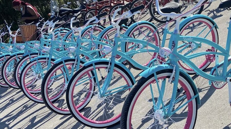 Niagara-on-the-Lake: Bicycle Tour with Wine Tasting - Who will enjoy this tour most?