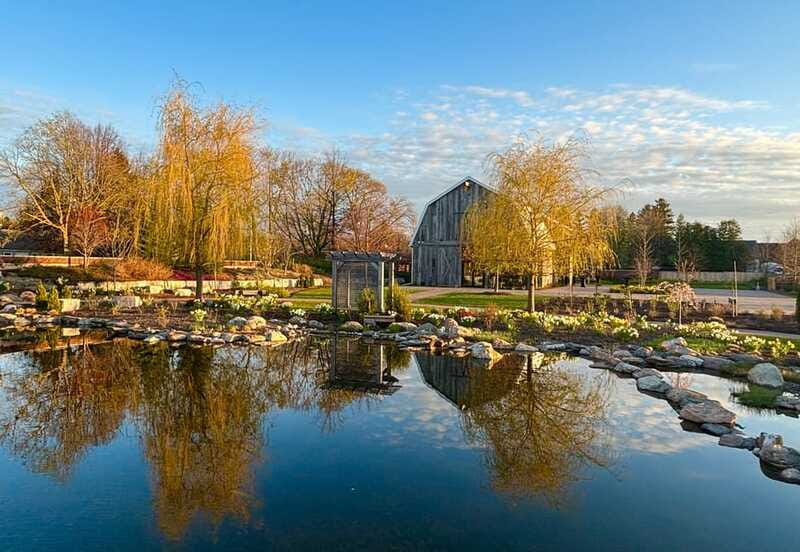 Niagara-on-the-Lake: Guided Walking Tour - Who should book this 90-minute walk