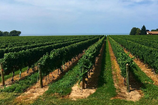 Niagara-On-The-Lake Guided Wine and Charcuterie Full-Day Tour - The route can change, so keep your expectations flexible