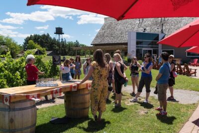 Niagara-on-the-Lake Small Group Wine Tasting Tour