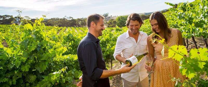 Niagara-on-the-Lake: Sunset Wine Tour with Dinner - Key points at a glance