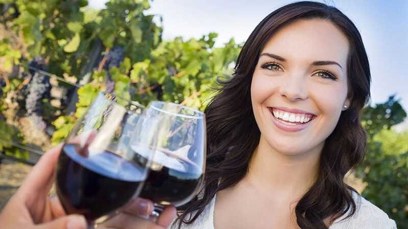 Niagara-on-the-Lake: Sunset Wine Tour with Dinner - Price, timing, and the practical details