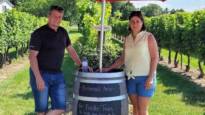 Niagara-on-the-Lake: Sunset Wine Tour with Dinner - Who will get the most from this tour