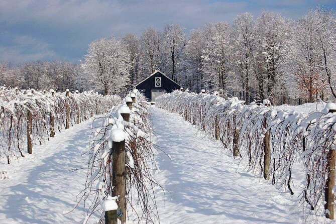 Niagara Wine Tour and Tastings with Transportation - Lunch at the Farmhouse Cafe