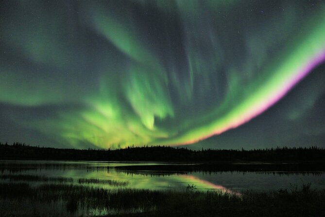 Northern Lights Tour Yellowknife - What the $74.35 price delivers