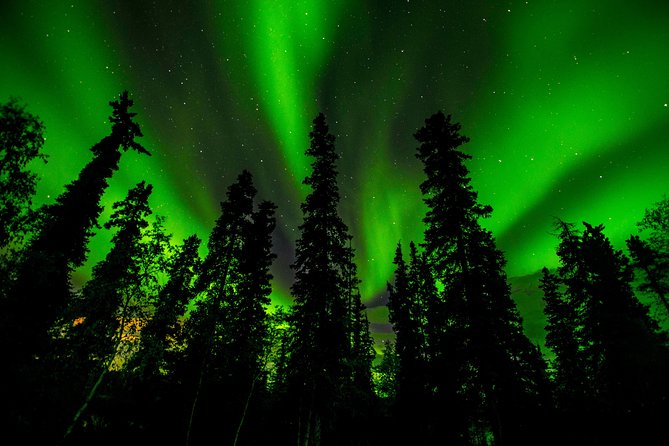 Northern Lights Tours - Why Yellowknife is a good place to chase the aurora