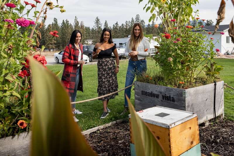 Okanagan Bee Tour, Wine Tasting and Lunch at Kelowna Winery - Learning the life of Okanagan bees