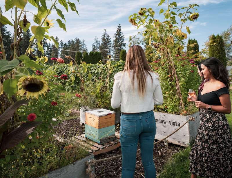 Okanagan Bee Tour, Wine Tasting and Lunch at Kelowna Winery - Sampling award-winning honey wines