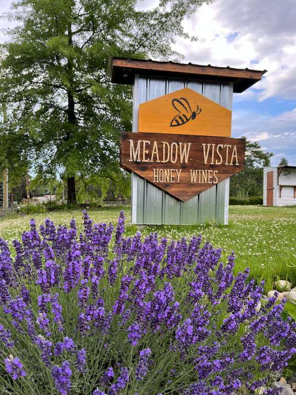 Okanagan Bee Tour, Wine Tasting and Lunch at Kelowna Winery - A local lunch on the patio