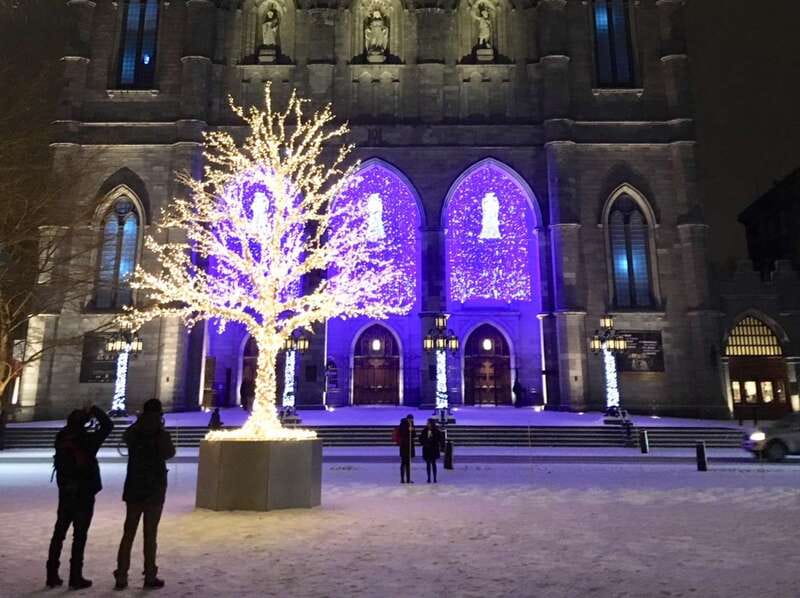 Old Montréal Small-Group Christmas Tour - Who should book this Old Montréal Christmas walk?