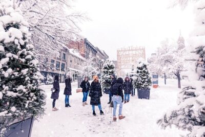 Old Montreal Small-Group Walking Tour | Max 10 | by MTL Detours