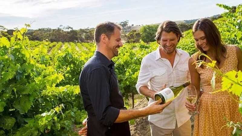 Ontario: Afternoon Wine Tour and Cheese Pairing - Three wineries, one afternoon, and a taste of Niagara