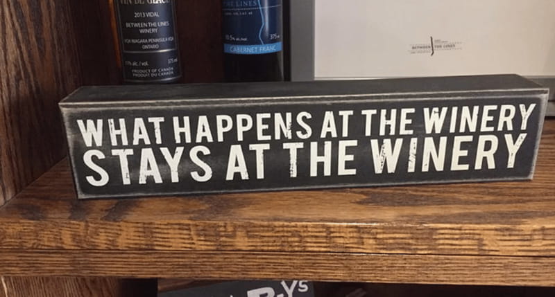 Ontario: Afternoon Wine Tour and Cheese Pairing - Pickup details that can save you trouble