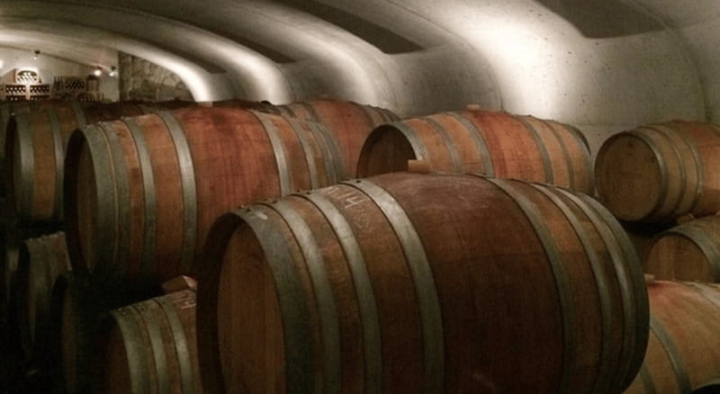 Ontario: Afternoon Wine Tour and Cheese Pairing - Who will enjoy this tour most