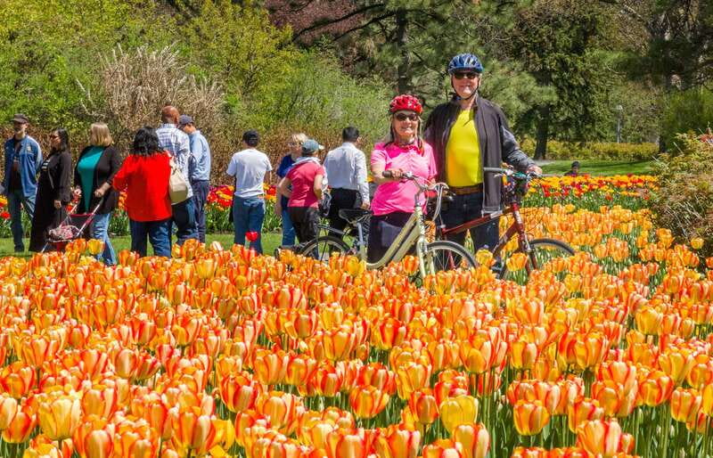 Ottawa: 2 or 3.5-Hour Guided Bike Tour with a Local Guide - Key points at a glance