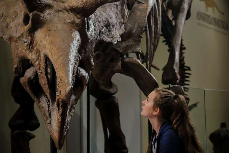 Ottawa: Canadian Museum of Nature Admission - Live Insects and Pacific Tide Pools