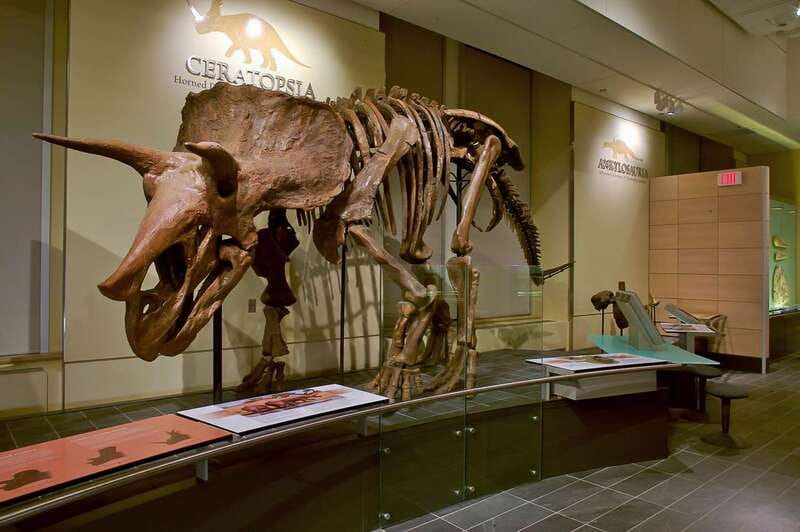 Ottawa: Canadian Museum of Nature Admission - How Long Should You Stay?