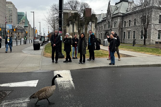 Ottawa City Highlights 3 Hour Walking Tour | Gratuity-Based - River views from Major’s Hill Park