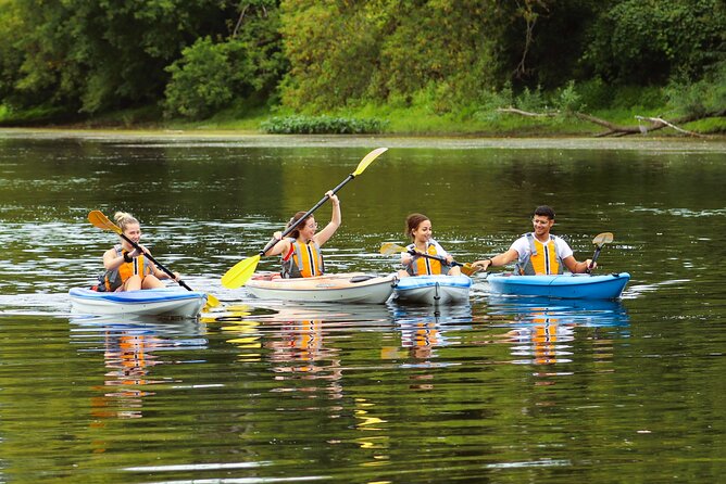 Ottawa: Ecological Reserve Kayak Tour with Turtle Sightings - A quiet reserve only 20 kilometers from Ottawa